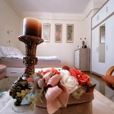 Zsofia's *